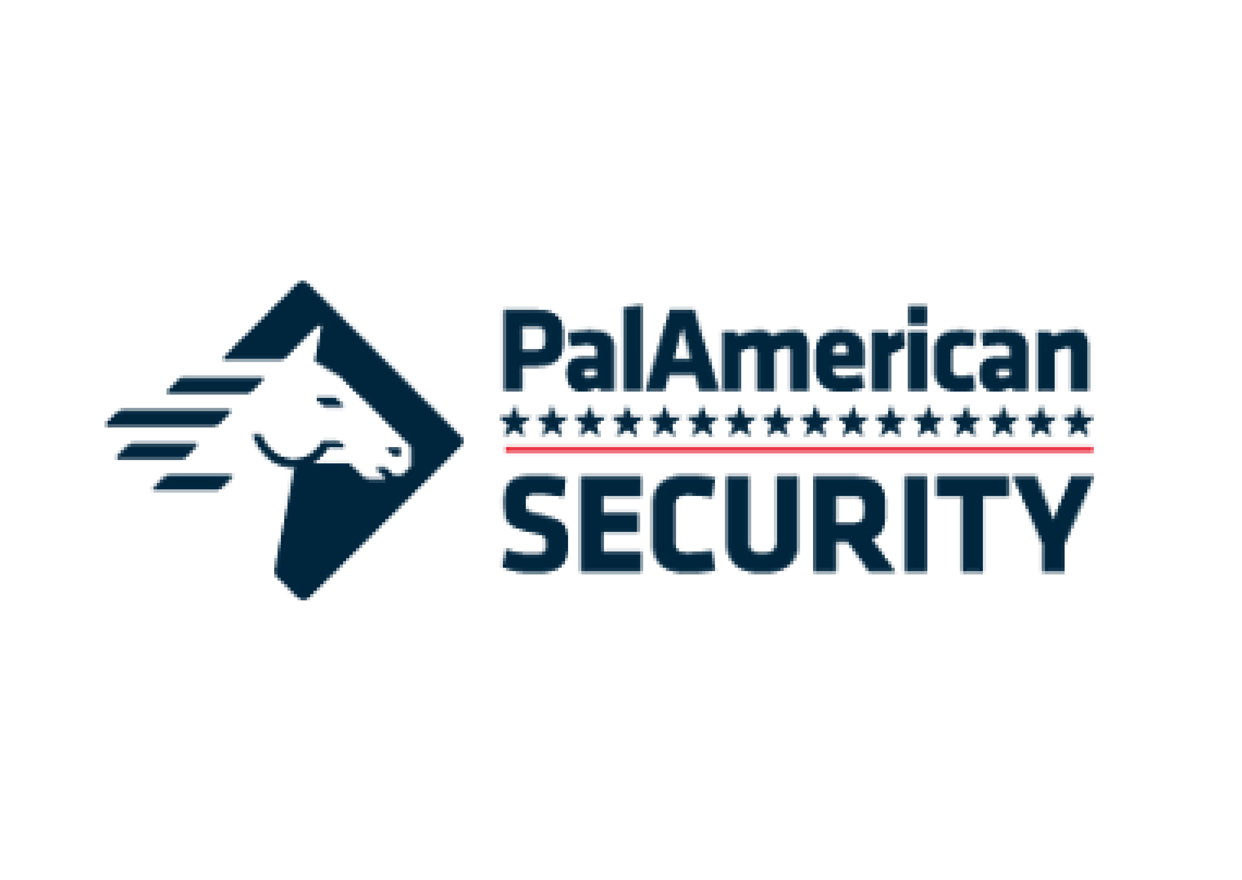 https://www.paladinsecurity.com/wp-content/uploads/2021/05/PAS-01.png