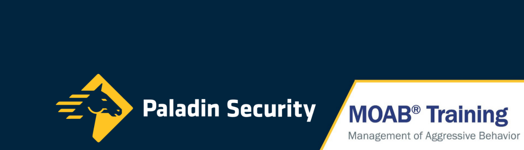https://www.paladinsecurity.com/wp-content/uploads/2022/05/Untitled-design-e1652457932510.png